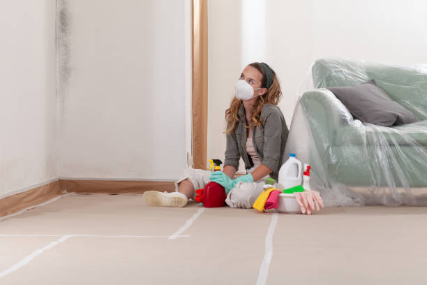 Reliable Mold Inspection And Testing contractor in Quincy, MA by 24 Hour Mold Removal